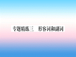 （課標(biāo)）中考英語準(zhǔn)點備考 專題精練三 形容詞和副詞課件