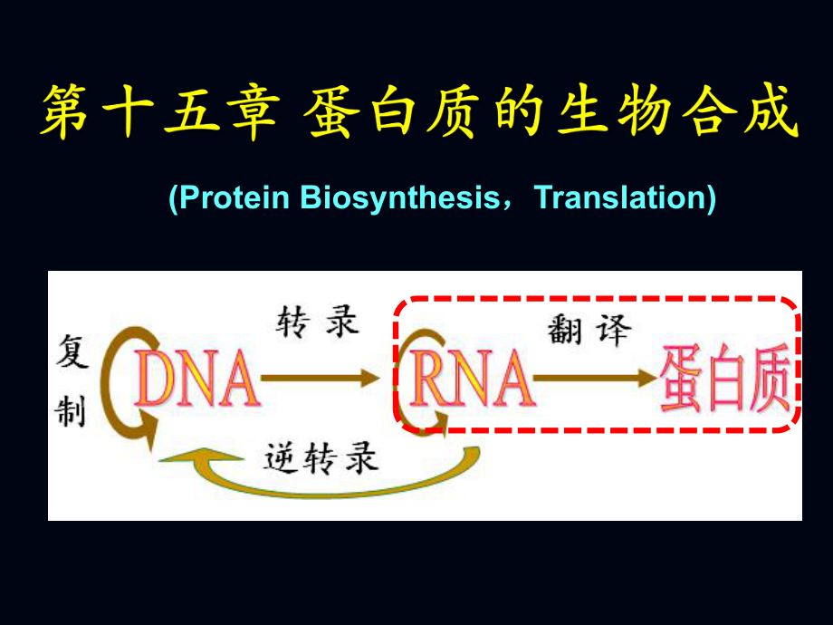 第15章 蛋白質(zhì)的生物合成_第1頁(yè)