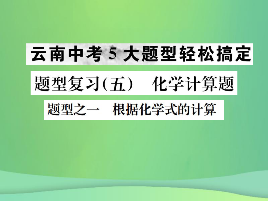 （全国通用）中考化学总复习 题型复习（五）化学计算题课件_第1页