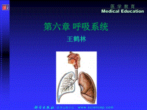 第六章呼吸系統(tǒng) 人體解剖生理學