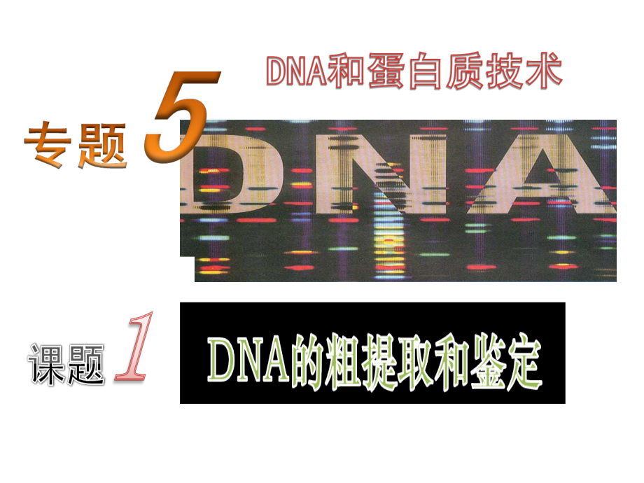 5.1《DNA的粗提取與鑒定》課件(新人教版選修1)（18張PPT）_第1頁