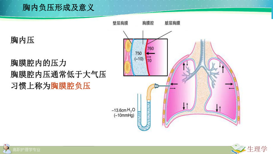 胸膜腔压力图片