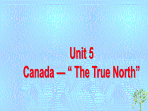 高中英語(yǔ)復(fù)習(xí) Unit 5 Canada The True North課件 新人教必修3