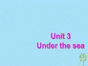 高中英語(yǔ)復(fù)習(xí) Unit 3 Under the sea課件 新人教選修7