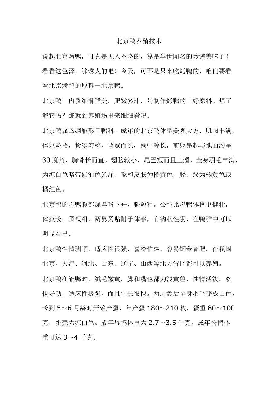 北京鸭养殖技术_第1页
