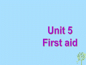 高中英語復習 Unit 5 First aid課件 新人教必修5