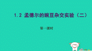 高中生物 第一章 遺傳因子的發(fā)現(xiàn) 第02節(jié) 孟德爾的豌豆雜交實驗二（1）課件 新人教必修2