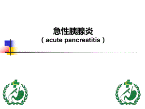 《急性胰腺炎》PPT課件 (2)