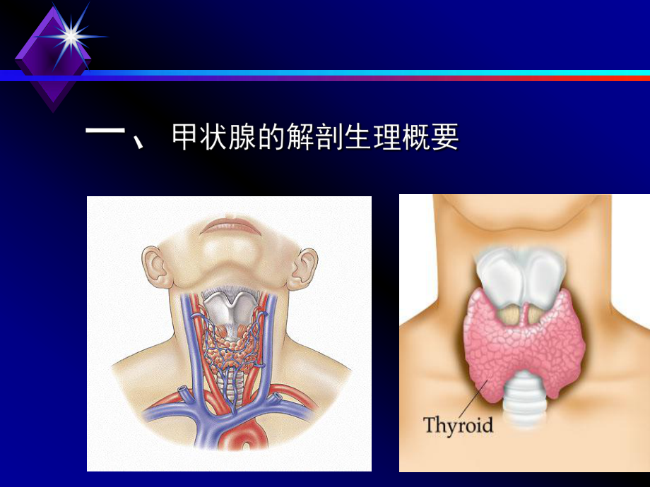 甲狀腺癌的護理ppt課件