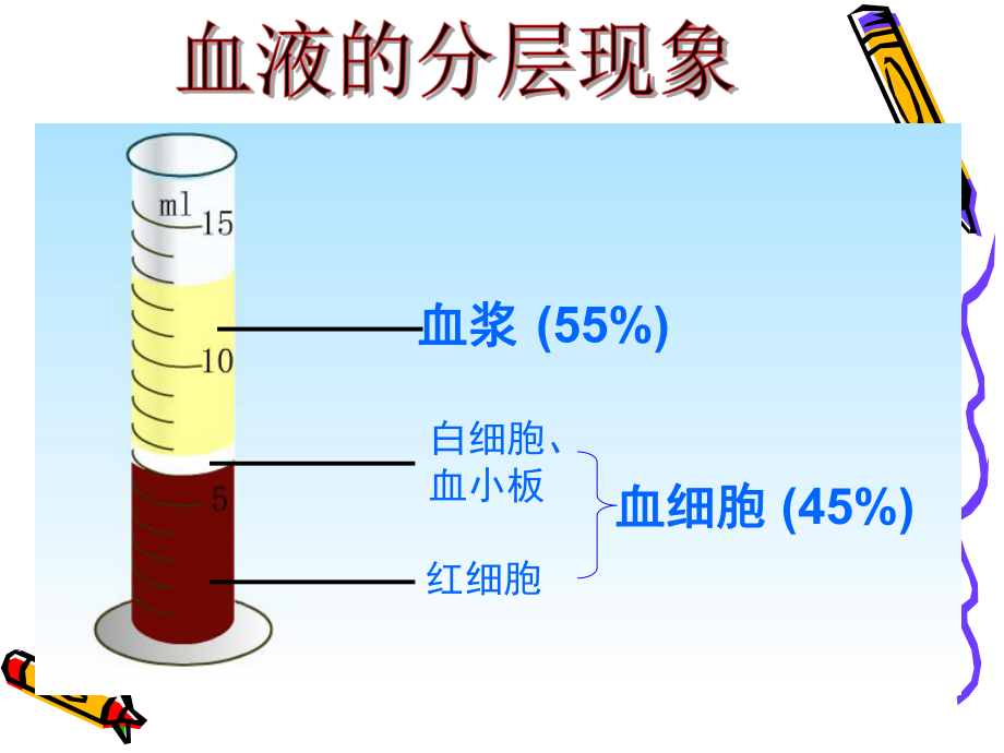 第四章人體內物質的運輸複習課