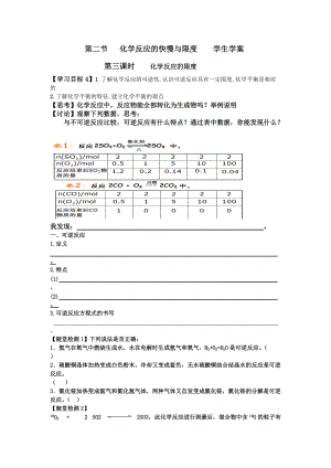 魯科版高一化學(xué)必修2第二章2化學(xué)反應(yīng)的快慢和限度 第三課時2