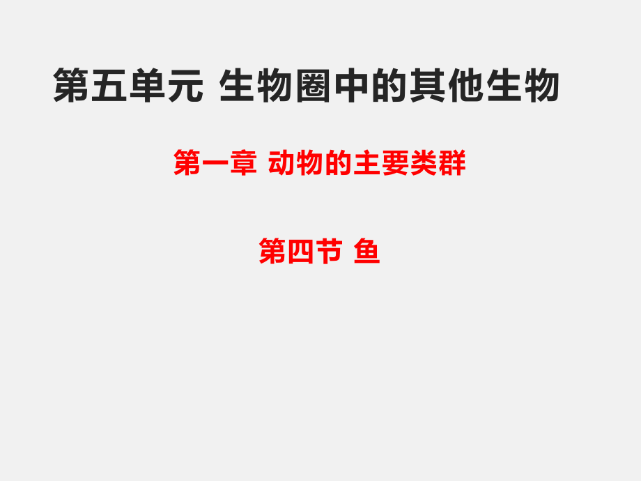 人教版八年級(jí)生物上冊(cè) 5.1.4魚(yú)(共38張PPT)_第1頁(yè)