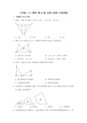 人教新版 八年級上冊數(shù)學(xué) 第12章 全等三角形專項訓(xùn)練