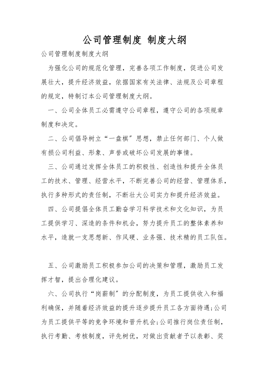 公司管理制度 制度大纲_第1页