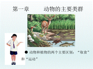 人教版八年級(jí)生物上冊(cè)5.1.3軟體動(dòng)物和節(jié)肢動(dòng)物（23張PPT）