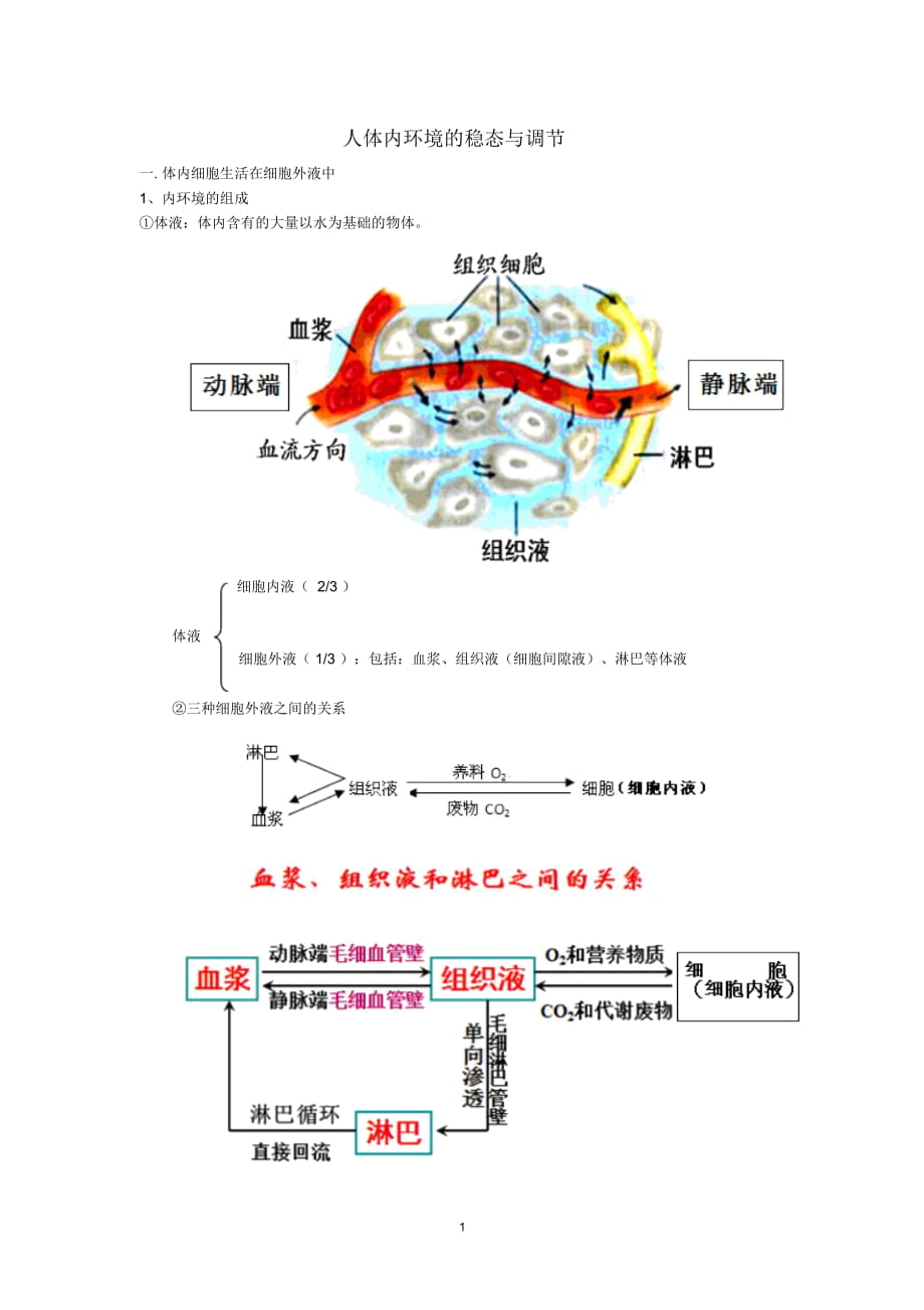 人体内环境的稳态与调节(知识点笔记)(word文档物超所值)_第1页