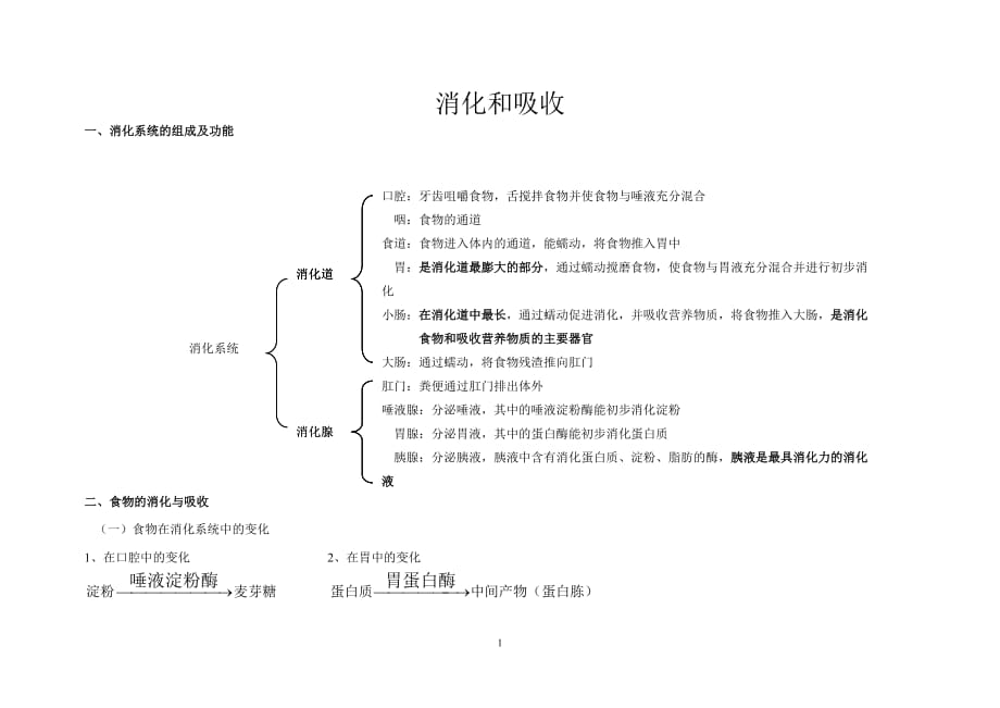 七年級(jí)生物 消化與吸收 知識(shí)點(diǎn)_第1頁