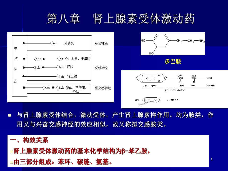 腎上腺素受體藥PPT課件_第1頁(yè)