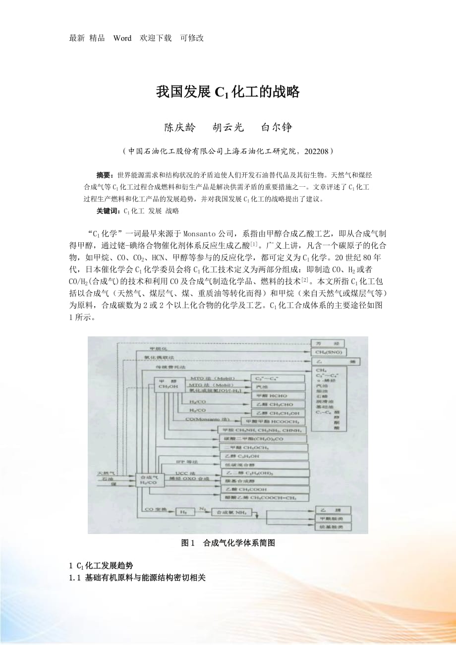 我国发展C化工的战略_第1页