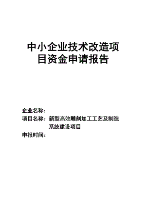 中小企業(yè)技術(shù)改造項(xiàng)目資金申請(qǐng)報(bào)告