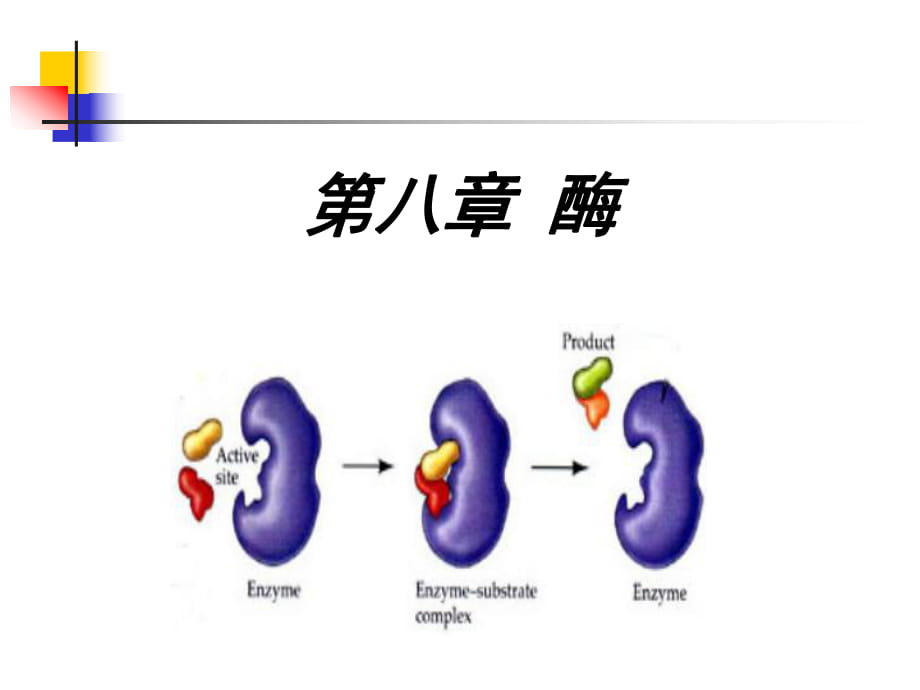 食品化学-第八章-酶_第1页