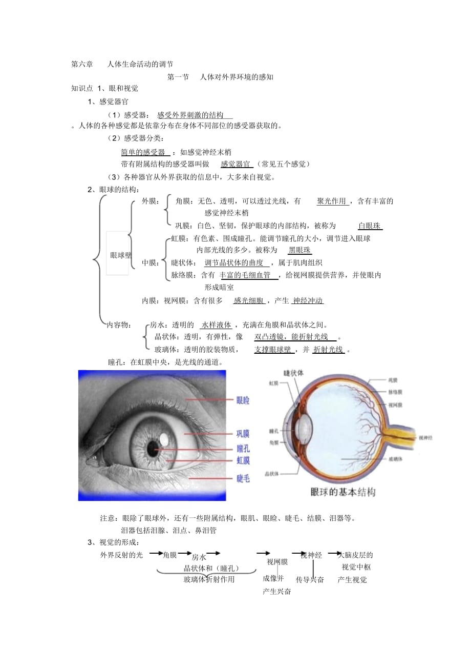 人體生命活動的調節(jié)知識點提綱(word文檔物超所值)_第1頁