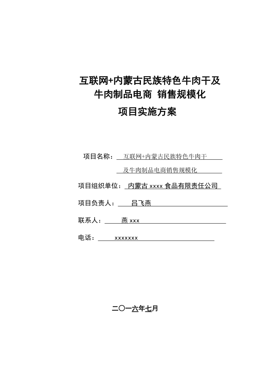 互聯(lián)網 項目實施方案_第1頁