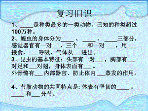 514冀教版七上第四章第六節(jié)魚（共41張PPT）