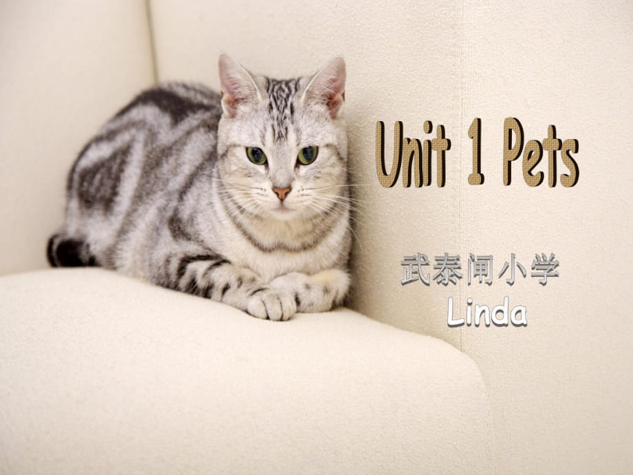 劍橋小學(xué)英語 三年級下冊 Unit1 pets3_第1頁