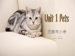 劍橋小學(xué)英語 三年級下冊 Unit1 pets3