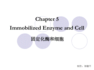 酶和细胞固定化PPT课件