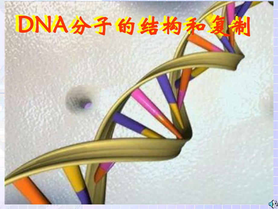 生物：《DNA分子的结构和复制》课件(新人教版必修2)_第1页