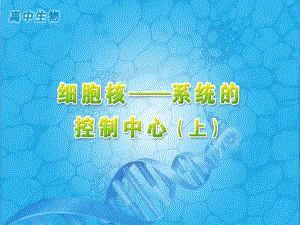 人教版高中生物必修1第3章　細(xì)胞的基本結(jié)構(gòu)第3節(jié)《細(xì)胞核——系統(tǒng)的控制中心》第一課時(shí)參考課件（共13張PPT）