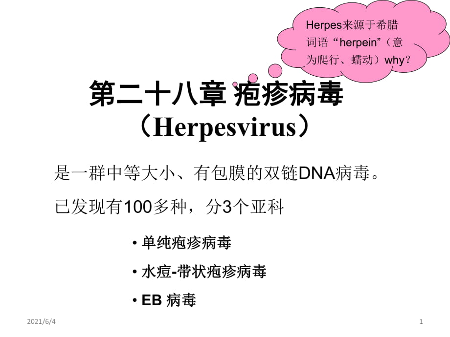 2單純皰疹病毒