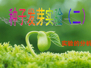 種子發(fā)芽實(shí)驗(yàn)(二) (2)