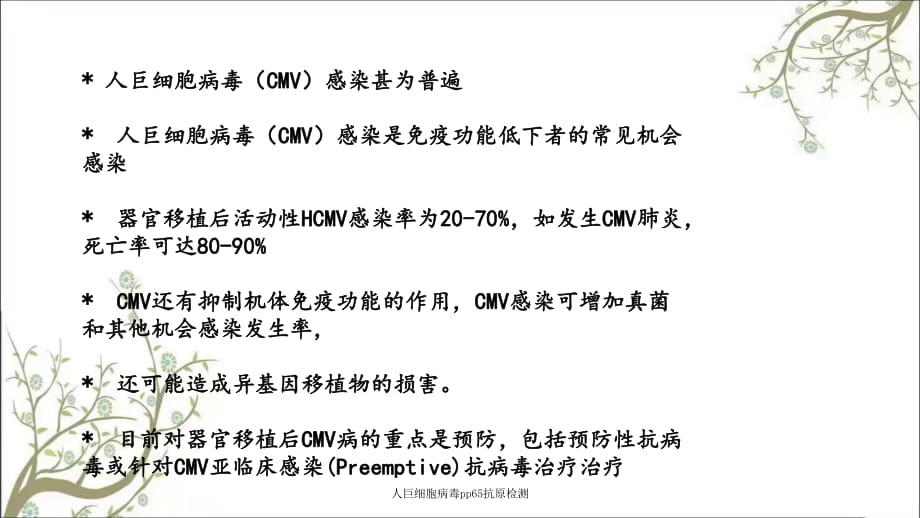 人鉅細胞病毒pp65抗原檢測