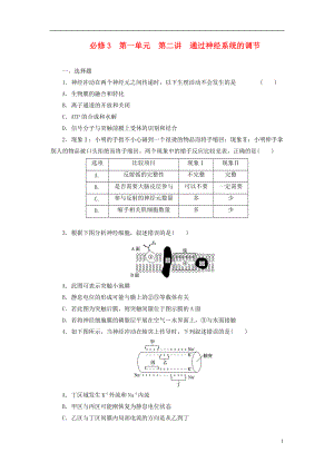 【三維設(shè)計】2014版高考生物一輪復(fù)習(xí) 第一單元 第二講 通過神經(jīng)系統(tǒng)的調(diào)節(jié)配套訓(xùn)練 新人教版必修3