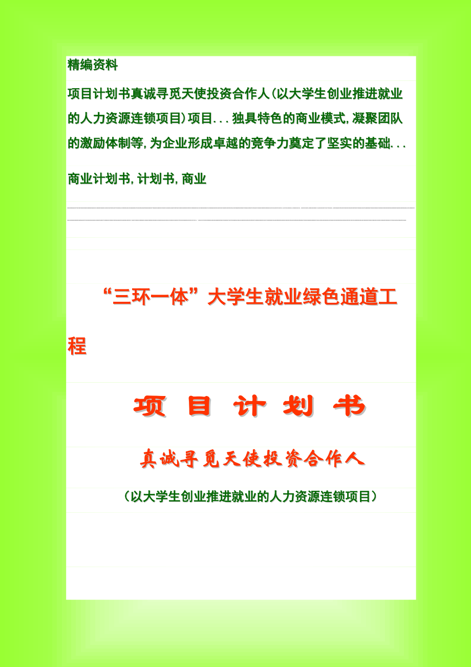 天使投資合作計劃書doc項目商業(yè)計劃書_第1頁