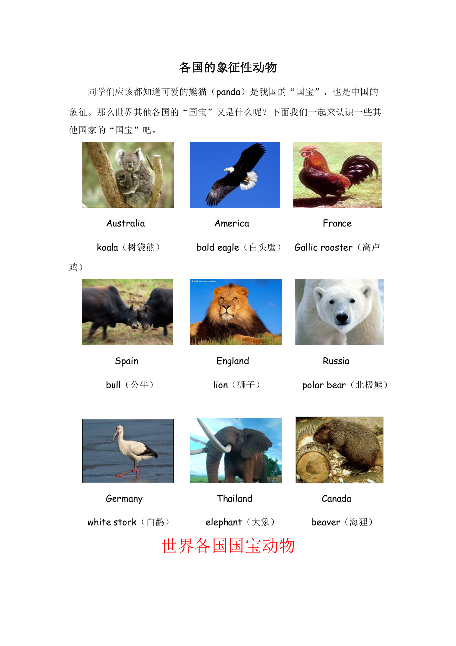 世界各国动物代表图片
