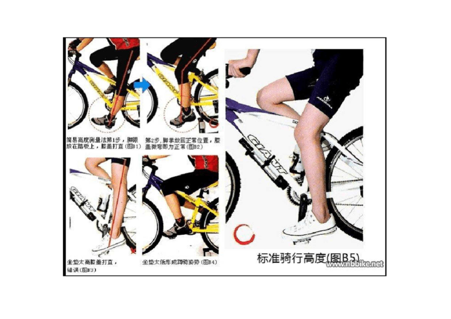 骑自行车正确姿势图解图片