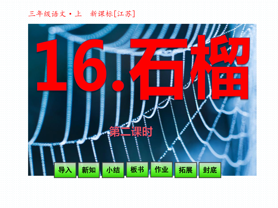 三年級(jí)上冊(cè)語(yǔ)文課件-16 石榴-第二課時(shí)_蘇教版_第1頁(yè)