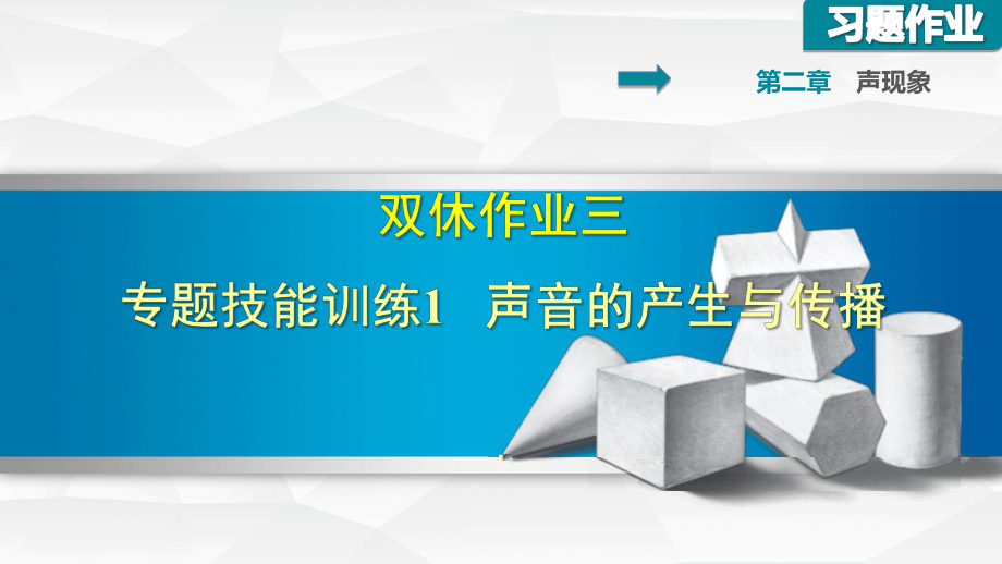 雙休作業(yè)三 專題技能訓練1 聲音的產生與傳播_第1頁