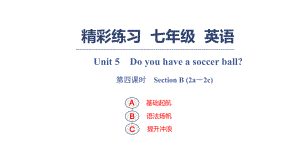 人教版七年級(jí)英語(yǔ)上冊(cè)習(xí)題課件：Unit　5　Do you have a soccer ball？　第四課時(shí)　Section B