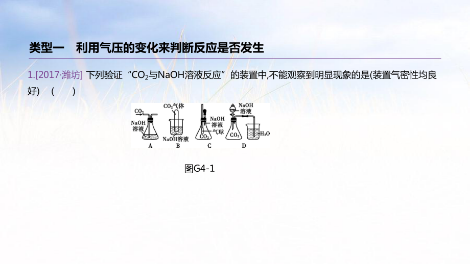 專項(xiàng)04 探究氫氧化鈉與二氧化_第1頁