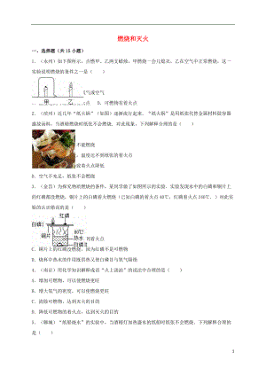 廣東省中山市中考化學(xué)專題訓(xùn)練 燃燒和滅火（含解析）