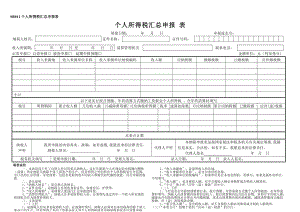 個(gè)人所得 匯總 申報(bào)表