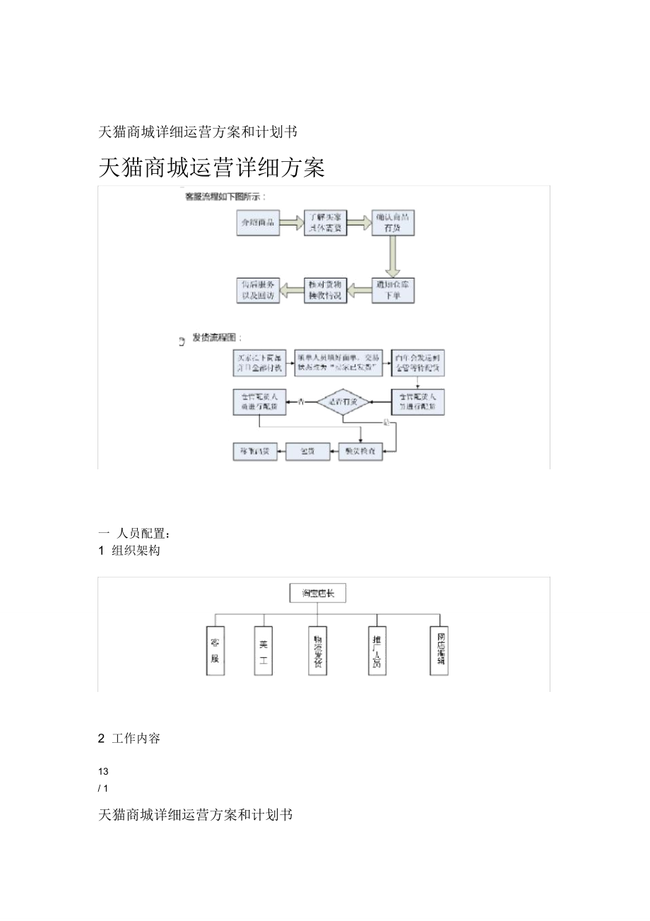 天猫商城详细运营方案和计划书_第1页