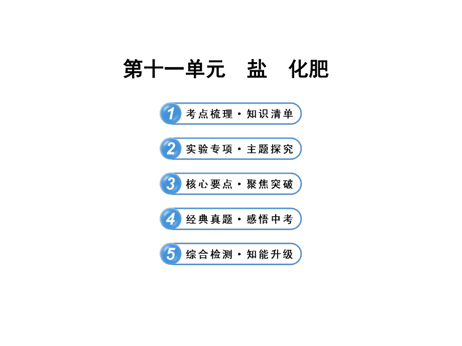 第十一單元《鹽_化肥》中考復習PPT_第1頁