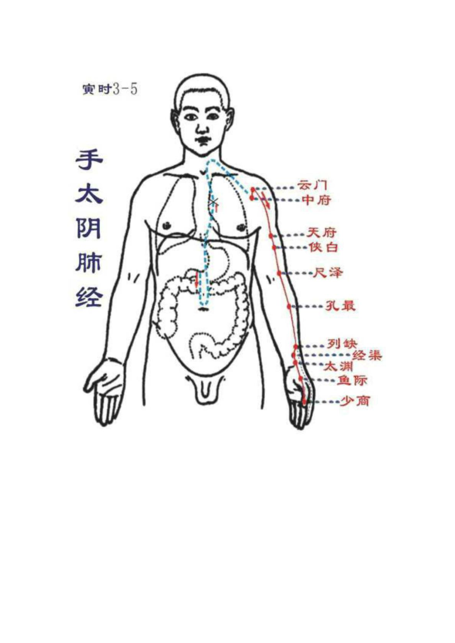 十二經絡高清圖(包含經絡穴位)