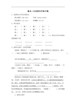 人教版小學六年級語文上冊 《最后一頭戰(zhàn)象》同步練習題